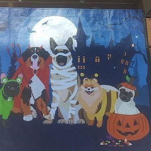 Reusable Polythylene Bag